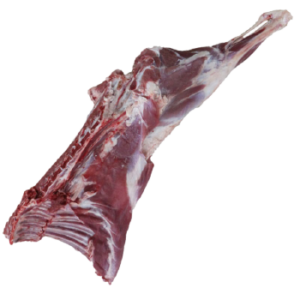 سرسینه گوسفندی